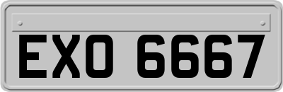 EXO6667