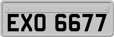 EXO6677