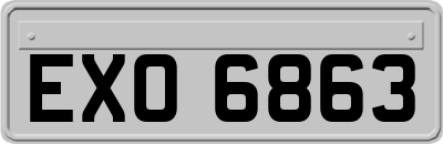 EXO6863