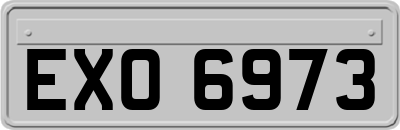 EXO6973