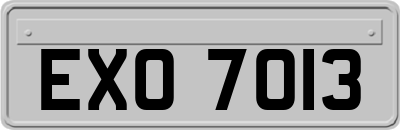 EXO7013