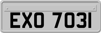 EXO7031
