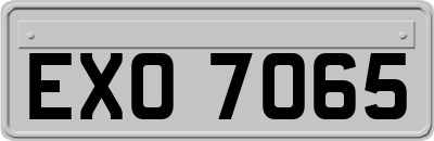 EXO7065
