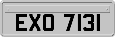 EXO7131