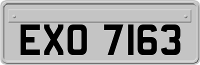 EXO7163