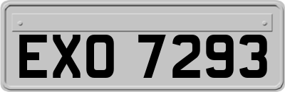 EXO7293