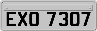 EXO7307