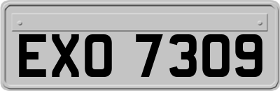 EXO7309