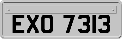 EXO7313