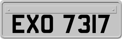 EXO7317
