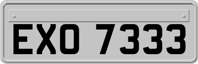 EXO7333