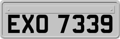 EXO7339