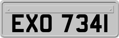 EXO7341