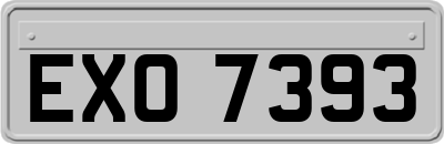 EXO7393