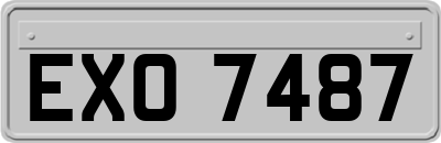 EXO7487