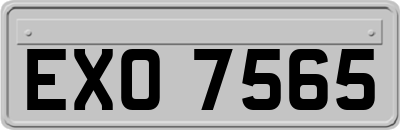EXO7565