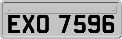 EXO7596