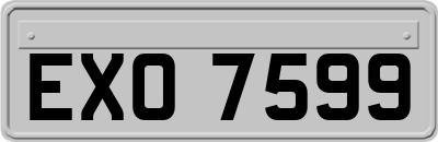 EXO7599