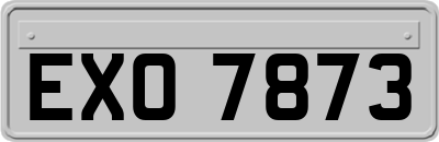 EXO7873