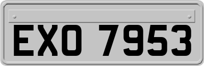 EXO7953