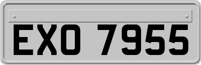 EXO7955
