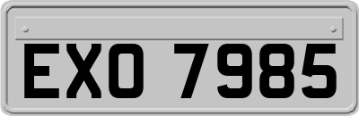 EXO7985
