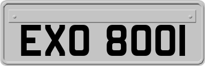 EXO8001