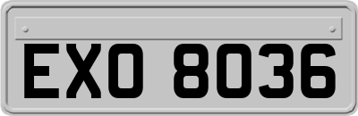 EXO8036