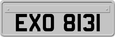 EXO8131