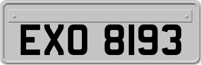 EXO8193