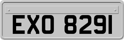 EXO8291