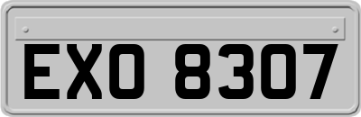 EXO8307