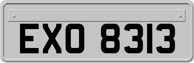EXO8313