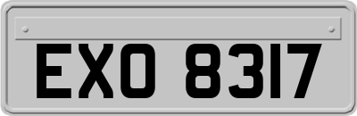 EXO8317