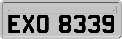 EXO8339