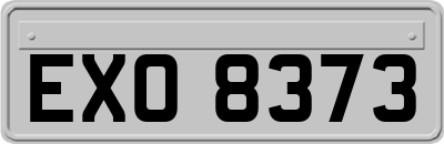 EXO8373