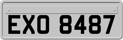 EXO8487