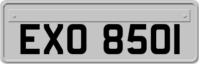 EXO8501