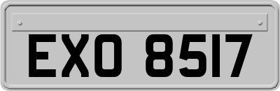 EXO8517