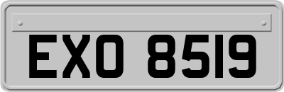 EXO8519