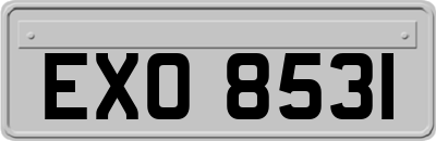 EXO8531