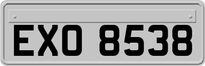 EXO8538