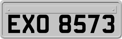 EXO8573