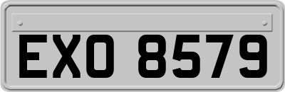 EXO8579