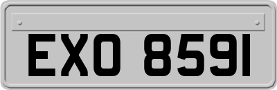 EXO8591