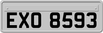 EXO8593