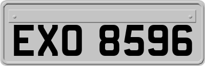 EXO8596