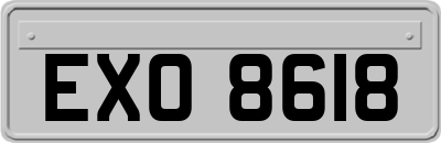 EXO8618
