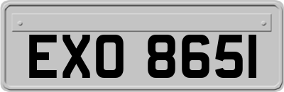 EXO8651
