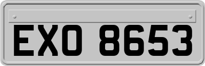EXO8653